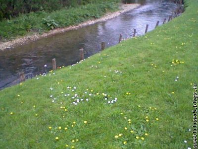 de la pelouse, une ptite riviéére, quelques fleurs.....le rêve
