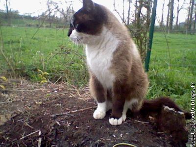 mimi prend la pose