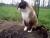 mimi prend la pose